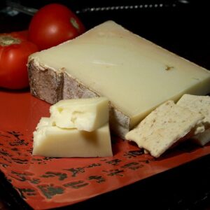 fontina fromage italien à pâte pressé